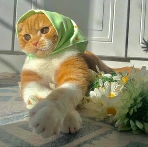 Meet your Posher, Thaw